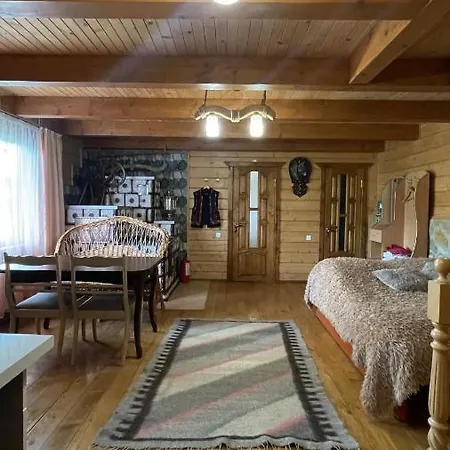 Holiday home будиночок в карпатах
