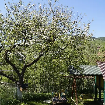 будиночок в карпатах *