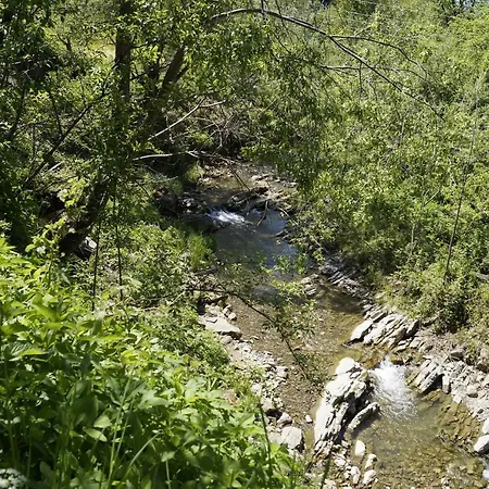 будиночок в карпатах