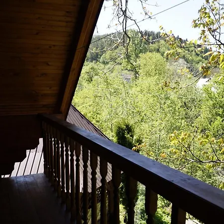 будиночок в карпатах Nyaraló *