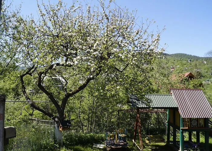 будиночок в карпатах *