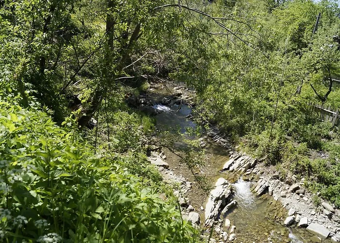 будиночок в карпатах